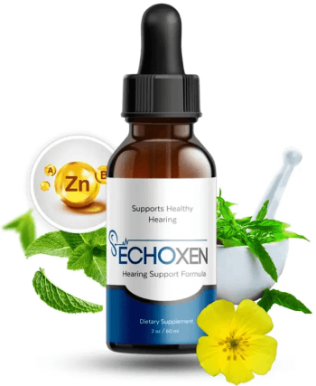Echoxen website